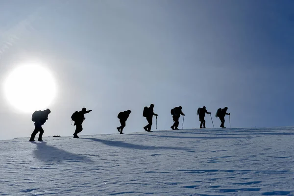 Attività del team professionale per l'attività escursionistica invernale — Foto Stock