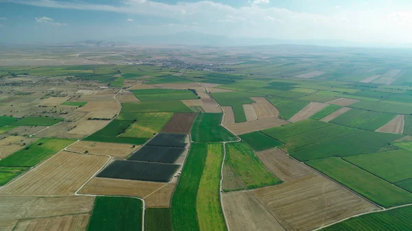 Grandes superficies de producción agrícola, maíz, trigo y remolacha — Foto de Stock