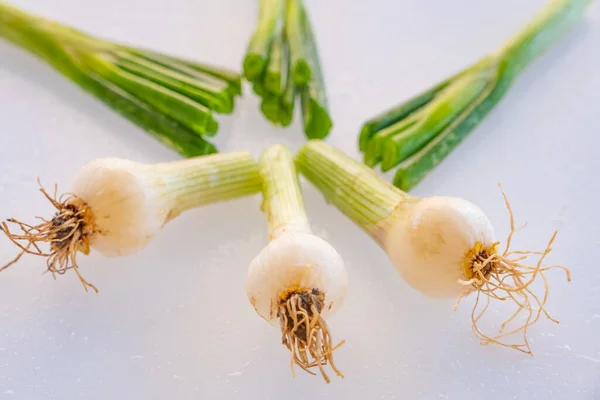 Imágenes Apetitosas Cebollas Verdes Frescas Orgánicas — Foto de Stock