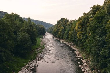 Dağlarla çevrili dağ nehri. Dik kayalıklar. Nehrin mavi berrak suyu. Kayalık taşlar ve orman Alp arazisi.