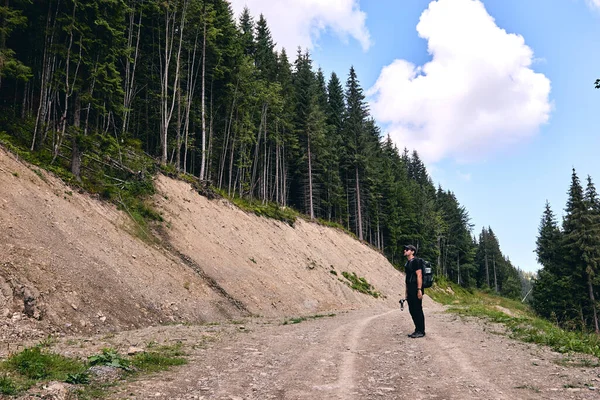 Man climbs uphill mountain. Sporty clothes and backpack backpack. Hiking through forest in summer. A path between fir and pine-tree during a sunny day. Dark autumn forest. Hiking in wild mountain. Adventure Travel Concept.