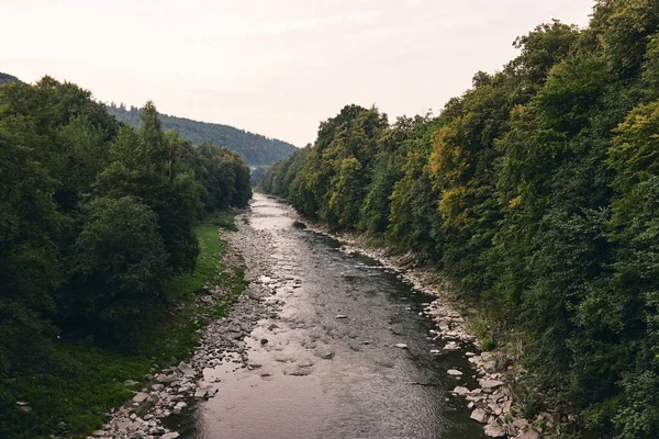 Dağlarla çevrili dağ nehri. Dik kayalıklar. Nehrin mavi berrak suyu. Kayalık taşlar ve orman Alp arazisi.