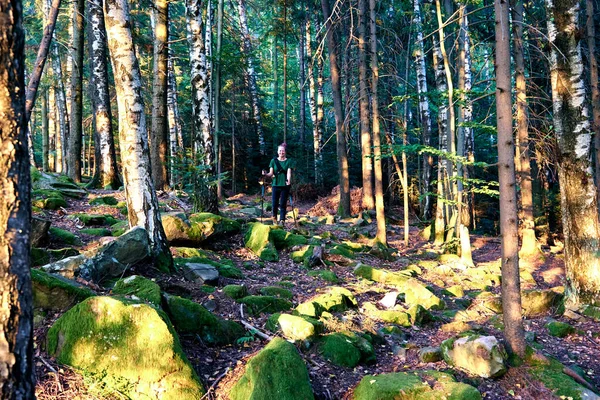 Woman climbs in sporty clothes and backpack. Close-up Legs In sport trekking shoes on green grass and rocky stones with moss of mountain autumn forest. Hiking boots in outdoor action. Top View of Boot on the trail.