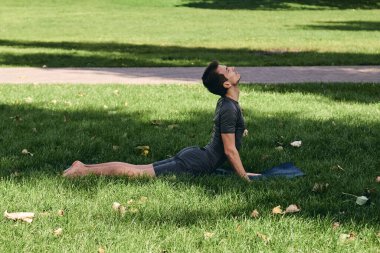 Spor giyimli genç bir adam parkta yoga yapıyor. Asana 'yı dışarıda pratik yap. Yeşil çimlerde yoga minderiyle egzersiz yapan insanlar. Güçlü, olgun, beyaz, yukarı bakan köpek pozu veren bir adam..