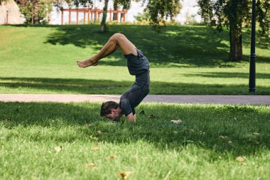 Spor giyimli genç bir adam parkta yoga yapıyor. Asana 'yı dışarıda pratik yap. Yeşil çimlerde yoga minderiyle egzersiz yapan insanlar. Amuda kalkmış, olgun, beyaz bir adam. Güçlü adam zor yoga duruşları deniyor. Fitness ve sağlıklı yaşam tarzı.