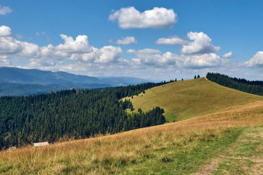Güneşli bir günde mavi gökyüzü bulutlarıyla kaplı dağların manzarası. Karanlık sonbahar ağaçları. Yazın orman. Vahşi dağlarda yürüyüş. Macera Yerel Seyahat Konsepti.