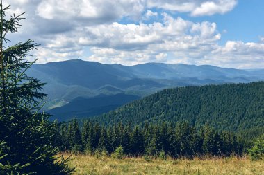 Güneşli bir günde mavi gökyüzü bulutlarıyla kaplı dağların manzarası. Karanlık sonbahar ağaçları. Yazın orman. Vahşi dağlarda yürüyüş. Macera Yolculuğu Konsepti.