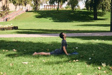 Spor giyimli genç bir adam parkta yoga yapıyor. Asana 'yı dışarıda pratik yap. Yeşil çimlerde yoga minderiyle egzersiz yapan insanlar. Güçlü, olgun, beyaz, yukarı bakan köpek pozu veren bir adam..