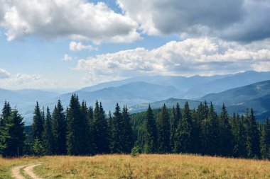 Güneşli bir günde mavi gökyüzü bulutlarıyla kaplı dağların manzarası. Karanlık sonbahar ağaçları. Yazın orman. Vahşi dağlarda yürüyüş. Macera Yerel Seyahat Konsepti.