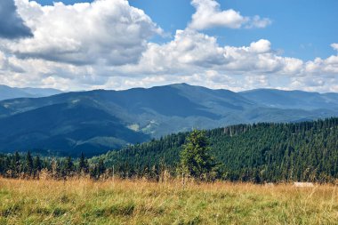 Güneşli bir günde mavi gökyüzü bulutlarıyla kaplı dağların manzarası. Karanlık sonbahar ağaçları. Yazın orman. Vahşi dağlarda yürüyüş. Macera Yerel Seyahat Konsepti.