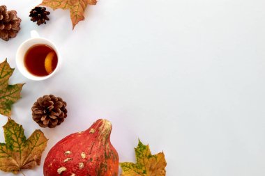 Sonbahar kompozisyonu. Beyaz arka planda kabaklardan, kuru yapraklardan ve çam kozalaklarından yapılmış bir çerçeve. Şablon sonbahar, sonbahar, cadılar bayramı, hasat günü konsepti. Düz konum, üst görünüm, alan arkaplanı kopyala.