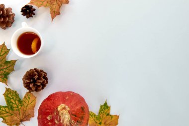 Sonbahar kompozisyonu. Beyaz arka planda kabaklardan, kuru yapraklardan ve çam kozalaklarından yapılmış bir çerçeve. Şablon sonbahar, sonbahar, cadılar bayramı, hasat günü konsepti. Düz konum, üst görünüm, alan arkaplanı kopyala.