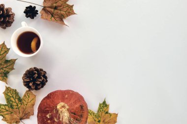 Sonbahar kompozisyonu. Beyaz arka planda kabaklardan, kuru yapraklardan ve çam kozalaklarından yapılmış bir çerçeve. Şablon sonbahar, sonbahar, cadılar bayramı, hasat günü konsepti. Düz konum, üst görünüm, alan arkaplanı kopyala.