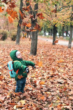 Küçük çocuk, kuru sarı ve kırmızı yapraklarla güzel bir parkta eğleniyor. Sonbahar ailesi ormanda yürüyor.