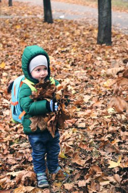 Küçük çocuk, kuru sarı ve kırmızı yapraklarla güzel bir parkta eğleniyor. Sonbahar ailesi ormanda yürüyor.