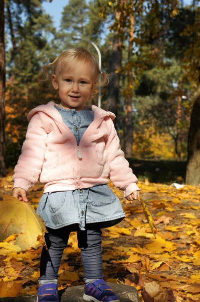 Meisje Heeft Plezier Mooi Park Met Droge Gele Rode Bladeren — Stockfoto