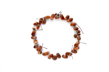 Sonbahar kompozisyonu. Kahverengi kurumuş yapraklardan yapılmış çerçeve ve beyaz arka planda izole edilmiş meşe palamudu. Şablon modeli düşüşü, Cadılar Bayramı, hasat günü konsepti. Düz konum, üst görünüm, alan arkaplanı kopyala.