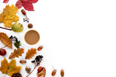 Sonbahar kompozisyonu. Kurumuş yapraklardan, dallardan, kozalaklardan, böğürtlenlerden, meşe palamutlarından ve beyaz arka planda bir fincan kahveyle yapılmış bir çerçeve. Şablon uydurma, cadılar bayramı. Düz konum, boşluk arkaplanı kopyala