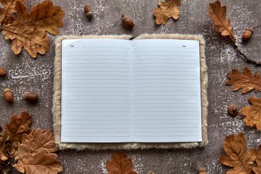 Kahverengi kurumuş yapraklardan ve koyu beton arka planda meşe palamudlarından oluşan sonbahar kompozisyonu. Şablon boş kağıt defteri. Sonbahar, cadılar bayramı. Düz konum, boşluk arkaplanı kopyala.