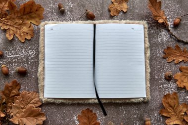 Kahverengi kurumuş yapraklardan ve koyu beton arka planda meşe palamudlarından oluşan sonbahar kompozisyonu. Şablon boş kağıt defteri. Sonbahar, cadılar bayramı. Düz konum, boşluk arkaplanı kopyala.