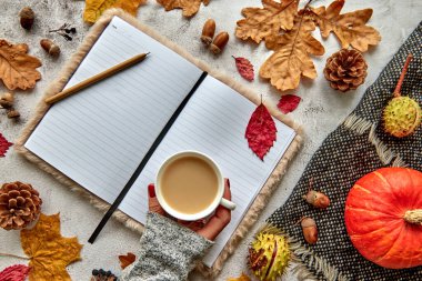 Sonbahar, sonbahar ya da cadılar bayramı kompozisyonu kurumuş yapraklar, balkabağı, kozalaklar, meşe palamudu, sıcak eşarp ve beton zemin üzerinde bir fincan kahve. Kopya alanı olan boş bir dizüstü bilgisayar şablonu.