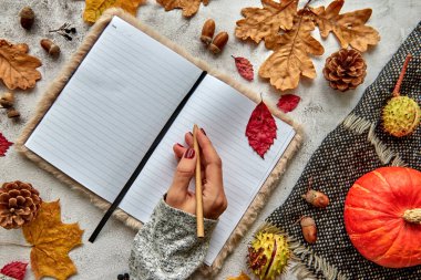 Sonbahar, sonbahar ya da cadılar bayramı kompozisyonu kurumuş yapraklar, balkabağı, kozalaklar, meşe palamudu, sıcak atkı ve beton arka planda bir kalemle yapılır. Kopya alanı olan boş bir dizüstü bilgisayar şablonu.