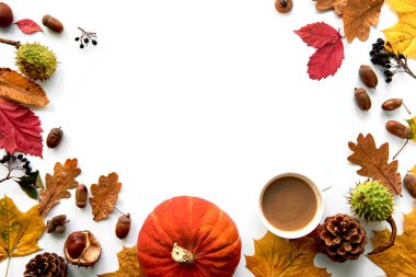 Sonbahar kompozisyonu. Kurumuş yapraklardan, balkabağından, kozalaklardan, böğürtlenlerden, kestanelerden ve beyaz arka planda izole edilmiş meşe palamudularından yapılmış bir çerçeve. Şablon uydurma, cadılar bayramı. Düz konum, boşluk arkaplanı kopyala.