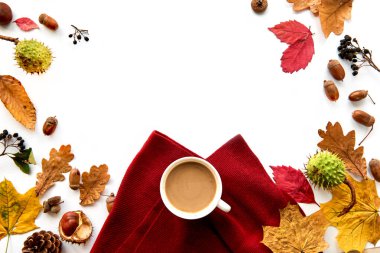 Kurumuş yapraklardan, kozalaklardan, böğürtlenlerden, meşe palamutlarından, sıcak atkıdan ve beyaz arka planda bir fincan kahveden oluşan bir sonbahar çerçevesi. Şablon uydurma, cadılar bayramı. Düz konum, boşluk arkaplanı kopyala.