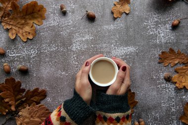 Sonbahar kompozisyonu. Kabaklardan yapılmış çerçeve, kurumuş yapraklar, çam kozalakları ve fincanların arka planı. Şablon sonbahar, sonbahar, cadılar bayramı, hasat günü konsepti. Düz konum, üst görünüm, alan arkaplanı kopyala.