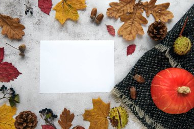 Sonbahar, sonbahar ya da cadılar bayramı kompozisyonu kurumuş yapraklar, balkabağı, kozalaklar, meşe palamudu, sıcak eşarp ve beton zemin üzerinde bir fincan kahve. Kopya alanı olan boş bir dizüstü bilgisayar şablonu.