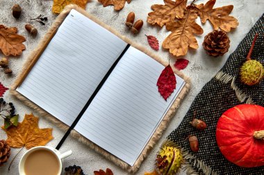 Sonbahar, sonbahar ya da cadılar bayramı kompozisyonu kurumuş yapraklar, balkabağı, kozalaklar, meşe palamudu, sıcak eşarp ve beton zemin üzerinde bir fincan kahve. Kopya alanı olan boş bir dizüstü bilgisayar şablonu.