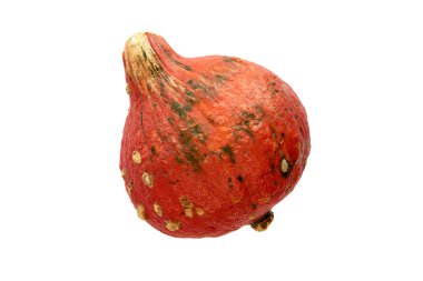 Sonbahar kompozisyonu. Beyaz arka planda izole edilmiş keskin gölgeli balkabağı. Şablon modeli düşüşü, Cadılar Bayramı, hasat günü konsepti. Düz konum, üst görünüm, boşluk pankartı kopyala.