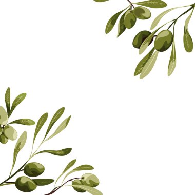 Vektör köşeleri ile zeytin ağacı süsle. Vegan gıda illüstrasyon