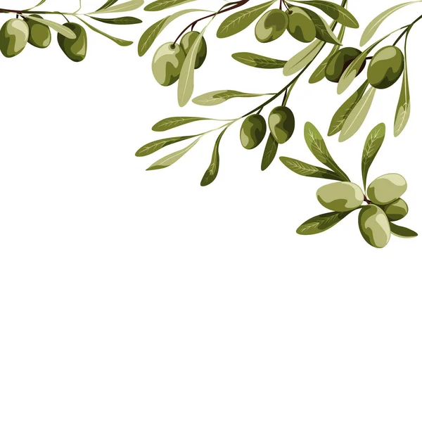 Vektorhintergrund mit Olivenbaumschmuck. Illustration veganer Lebensmittel — Stockvektor
