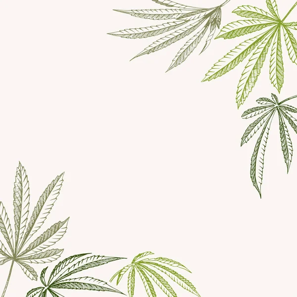 Esquema vectorial fondo de la esquina de la planta de cáñamo en una textura de cannabis cuadrada beige — Vector de stock