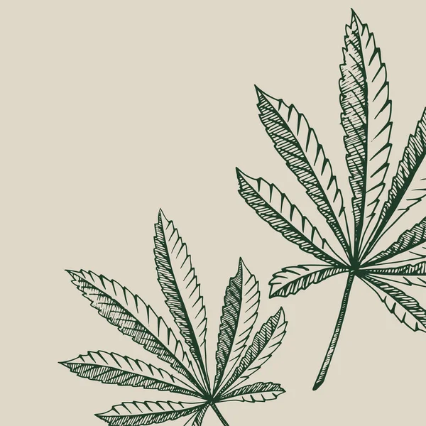 Aperçu vectoriel de la plante de chanvre sur une feuille de cannabis carrée beige — Image vectorielle