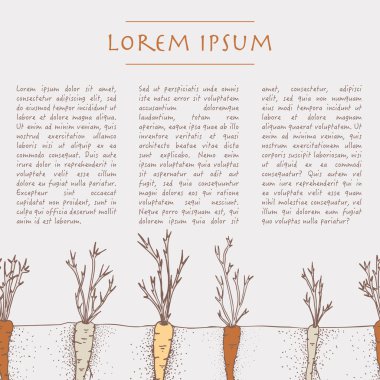 Sebze havuç ve metin ile Vintage arka plan şablonu. Sosyal medya için kare sonrası