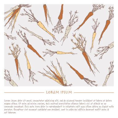 Sebze havuç ile Vintage arka plan şablonu. Sosyal medya için kare sonrası