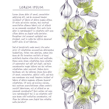 Vektör arka plan ile soğan kare kalıp sebze ve metin ile birlikte sosyal medya için