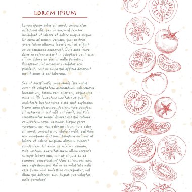 Vektör arka plan ile anahat domates kare sebze ile sosyal medya için şablon 