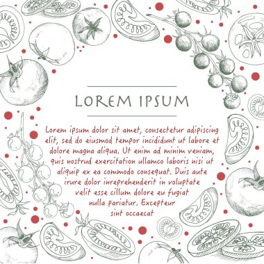 Vektör daire çerçevesi ile anahat Domates sebze sosyal medya arka plan ve şablon