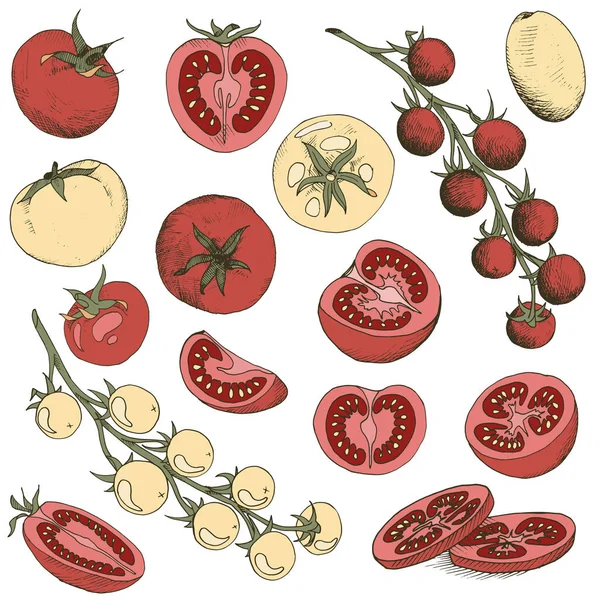 Vetor clipe de alimentos conjunto de arte de tomates vermelhos e amarelos mão desenhada doodle vegetais isolados — Vetor de Stock