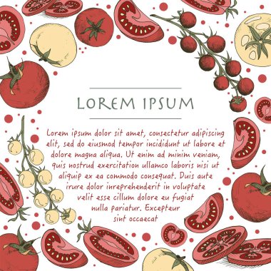 Sosyal medya arka plan ve şablon için renkli Doodle Domates sebze ile vektör daire çerçevesi