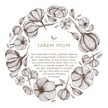 Sarımsak sebze el gıda ile daire arka çizilmiş vektör çelenk