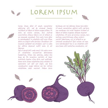 Pancar kökü sebzeli gıda arka plan beyaz sosyal medya şablonu çizilmiş