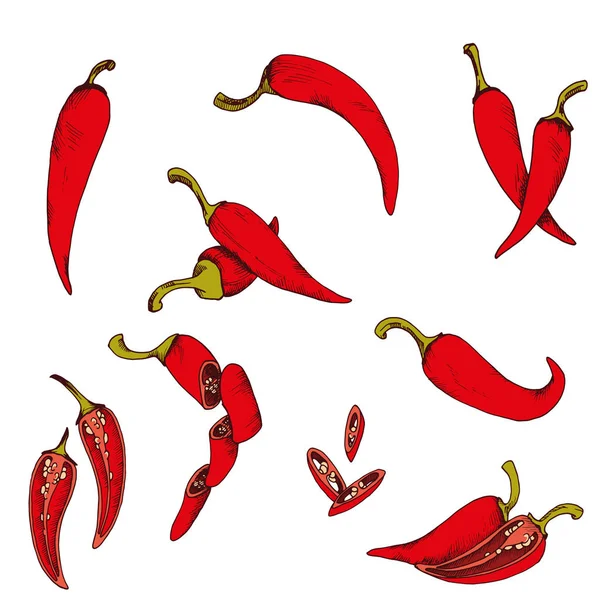 Vektor Clip Art Set von Chilischoten. isoliertes rotes Gemüse auf weißem Hintergrund — Stockvektor