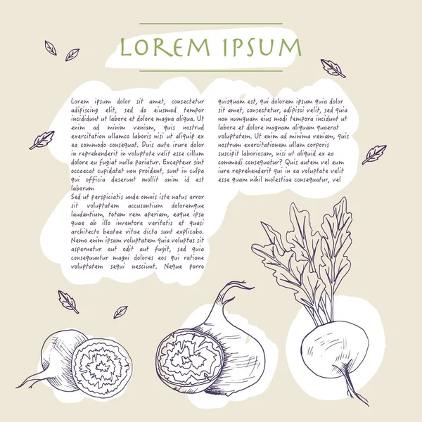 Pancar kökü sebze ile Gıda arka plan Metin ve fırça darbeleri ile sosyal medya şablonu çizilmiş