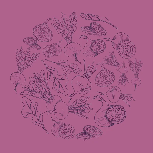 Vector paarse cirkel met bieten wortel plantaardige hand getrokken cirkel achtergrond met voedsel — Stockvector