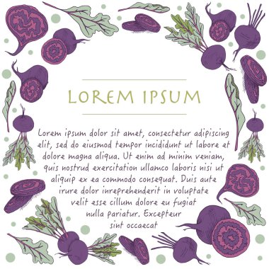 Gıda ile sebze daire çerçeve ile pancar kökü el çizilmiş arka plan ile Vektör şablonu