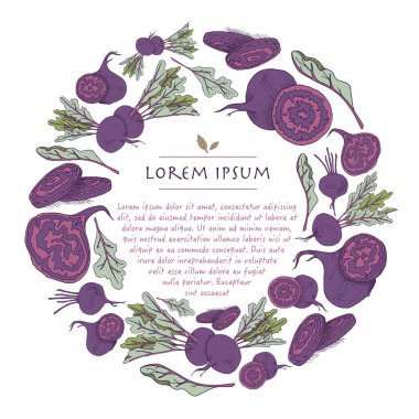 Pancar kökü sebze el gıda ile daire arka çizilmiş vektör çelenk